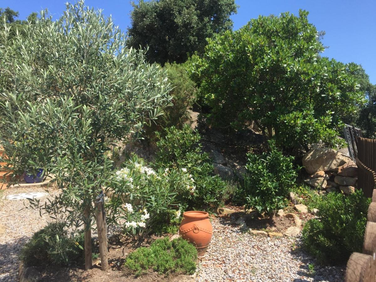 Villa Gardenia Mit Pool Und Traumhaftem Meerblick Santa Cristina d'Aro Kültér fotó